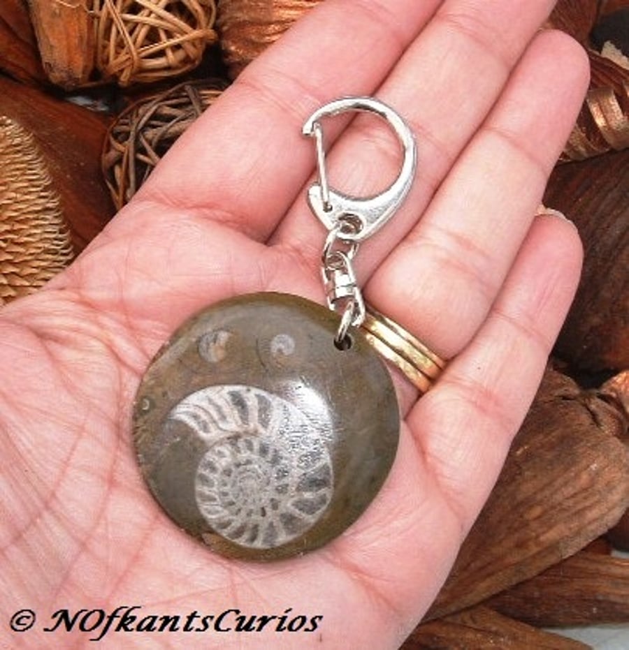 Pretty Rounded Ammonite Keyring or Handbag Charm!