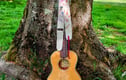 Ukulele Straps