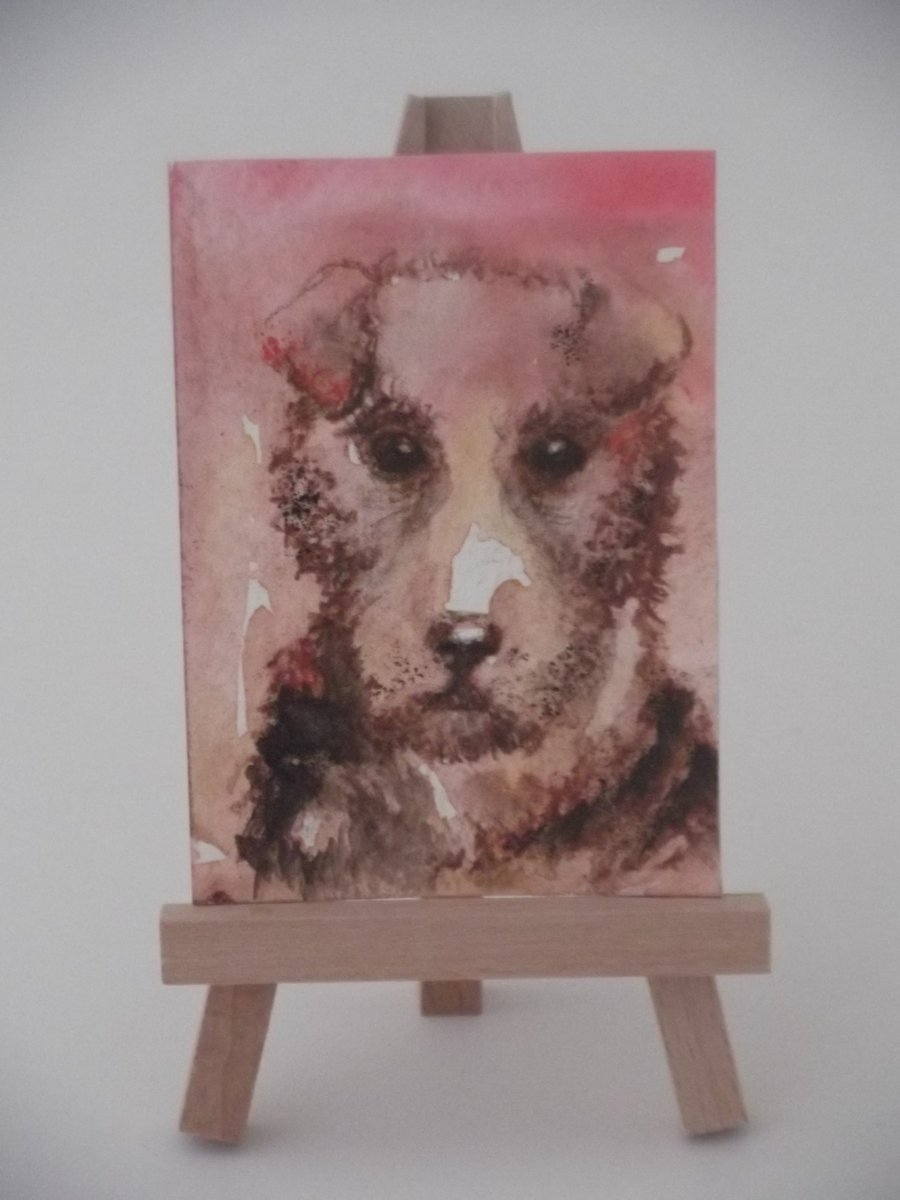 Aceo Terrier portrait