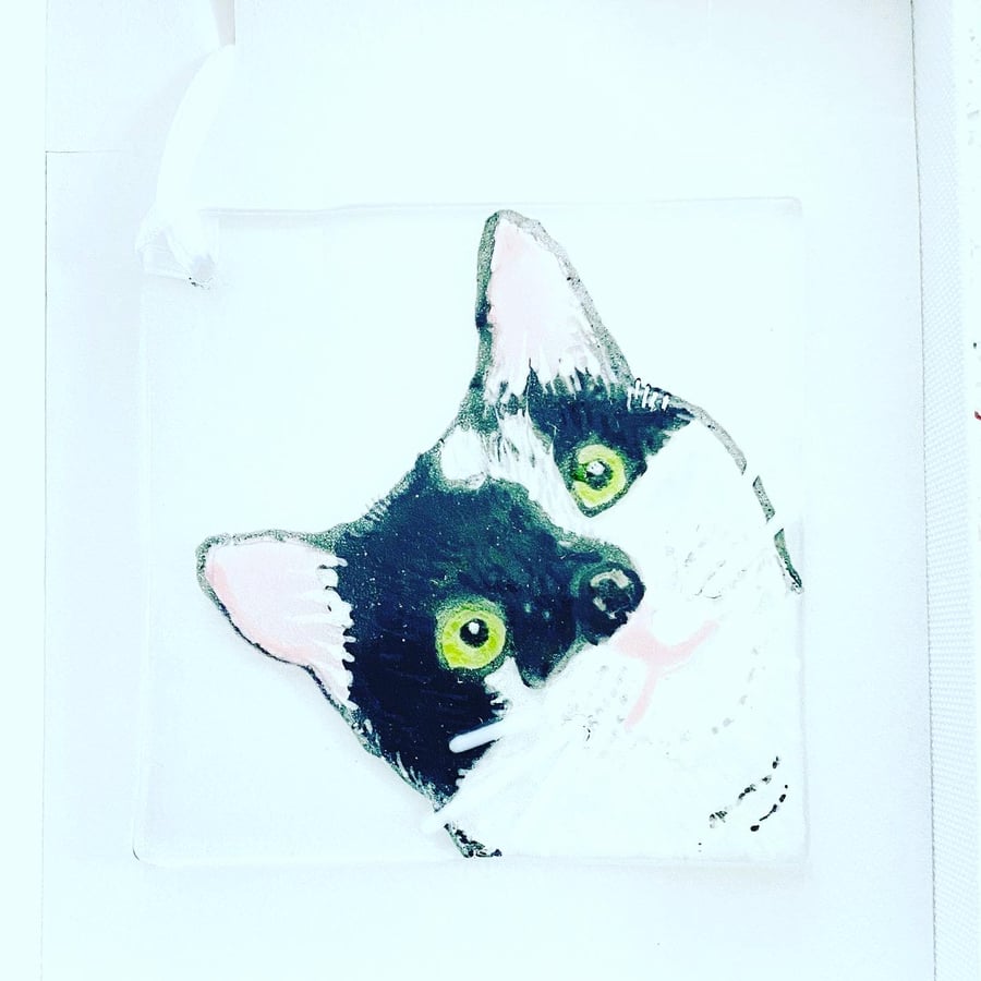 Personalised cat or dog portrait -hanging  decoration