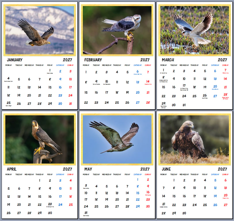 2027 A4 Calendar Hawks Eagles Wire Hanging 