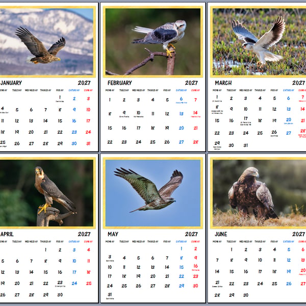 2027 A4 Calendar Hawks Eagles Wire Hanging 
