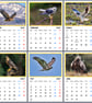 2027 A4 Calendar Hawks Eagles Wire Hanging 