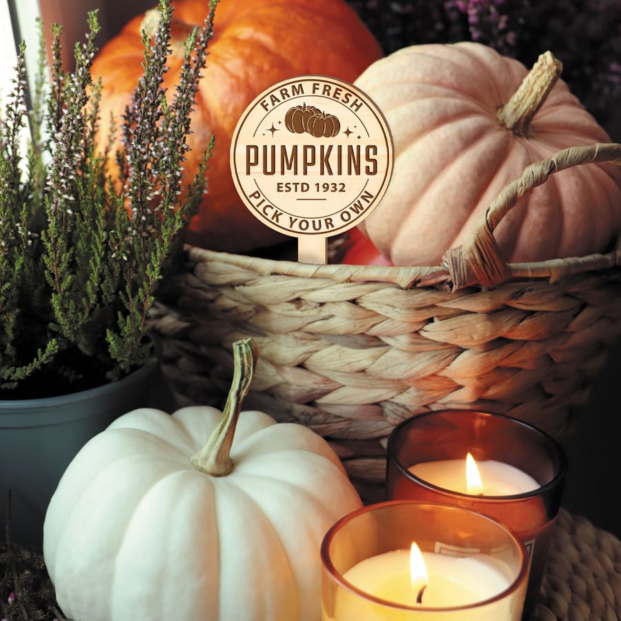 Pumpkin Farm Plant Tag - Fall Decor, Autumnal Home Accessories, Pumpkin Patch Pl