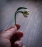 Snowdrop Crochet Bookmark - Petite Edition - Image 8
