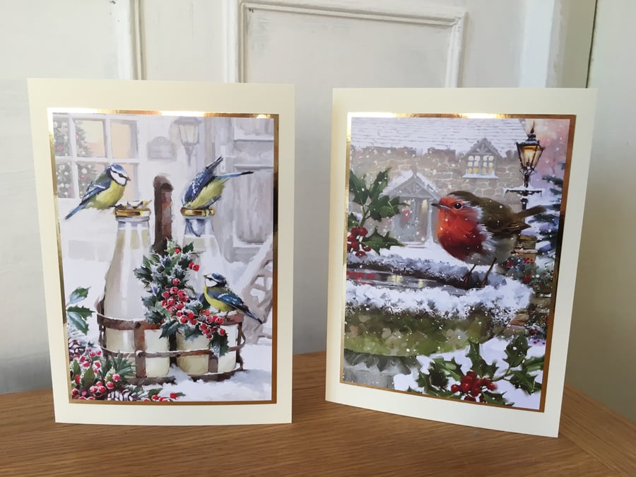Set of 2 x Garden Birds Christmas Cards