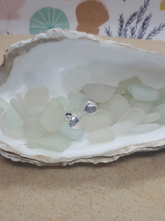  Mini fine silver cockle shell studs