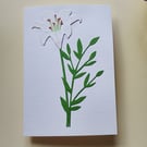 White Paper Lily - Flower Shop Moments, Blank Handmade Floral Card 
