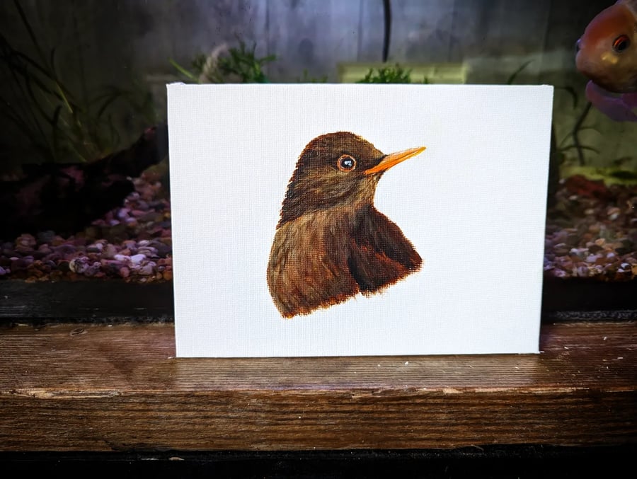 Female Blackbird Portrait Painting (with hanger)