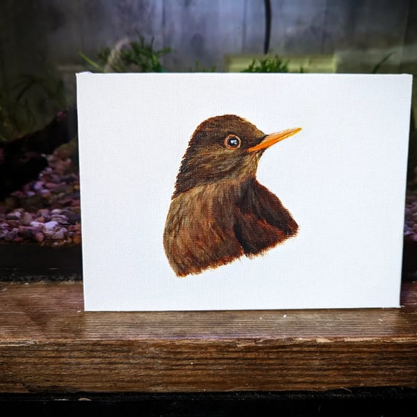 Female Blackbird Portrait Painting 