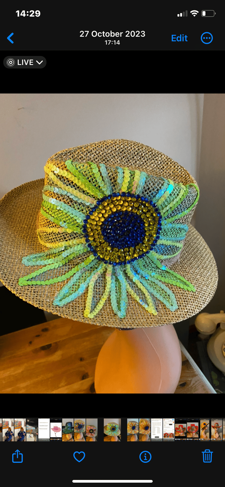 Painted hat 