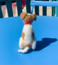 Jack Russell - Image 3