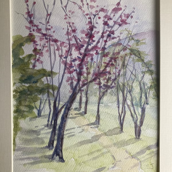 Watercolour of cherry blossoms in Miyoshi. Landscapes of Japan. 