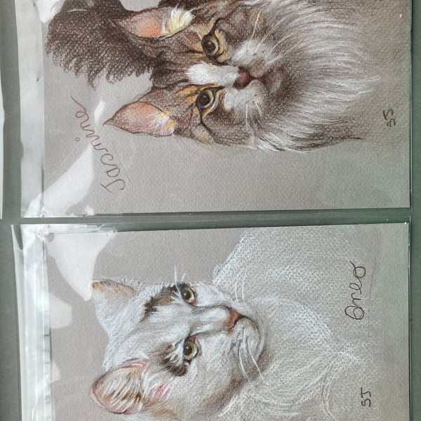 Original drawing of cats