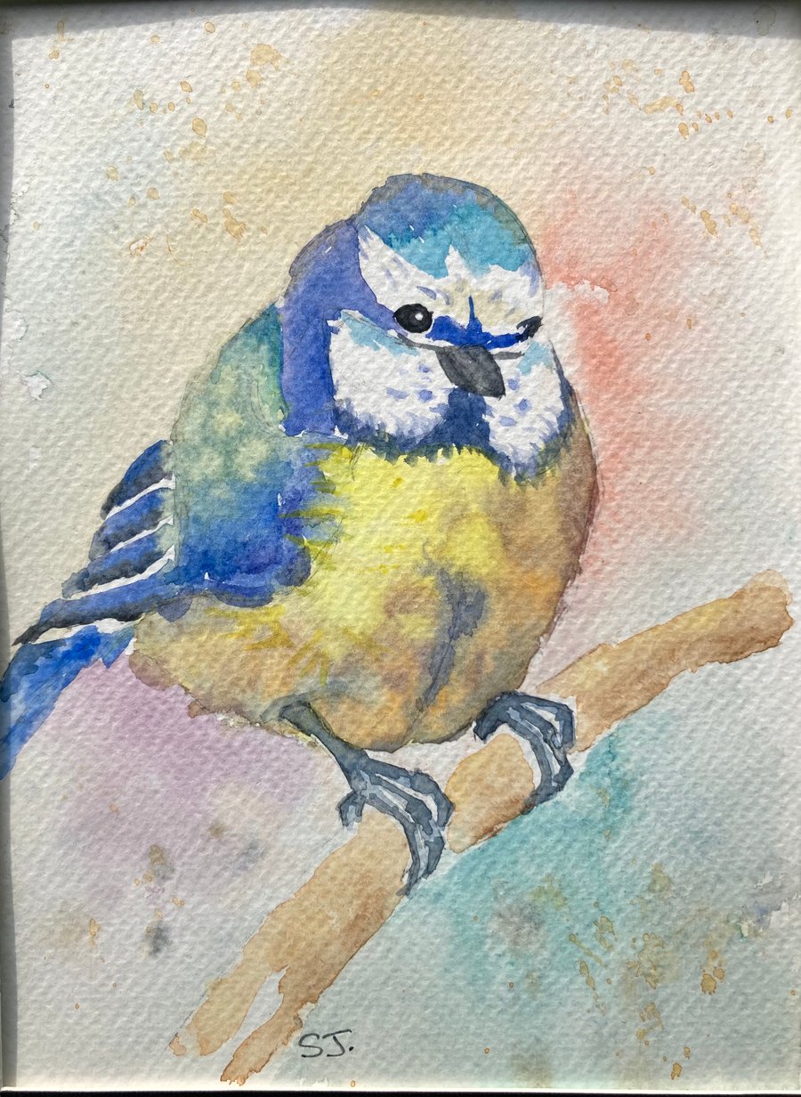 Original A5 watercolour of a little blue tit perching on a branch British birds 