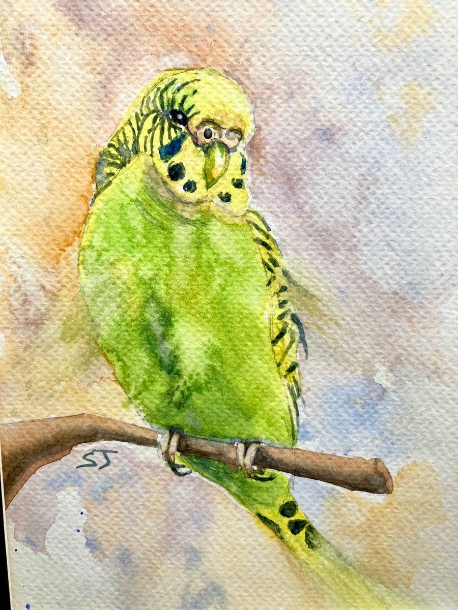 Original A5 watercolour of Yellow Budgie, Pet portrait 