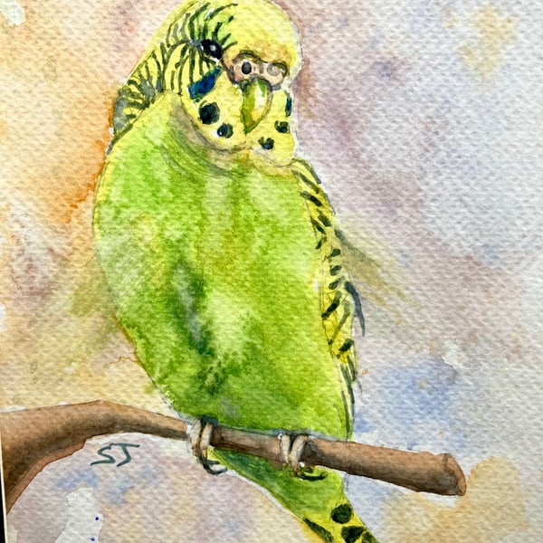 Original A5 watercolour of Yellow Budgie, Pet portrait 