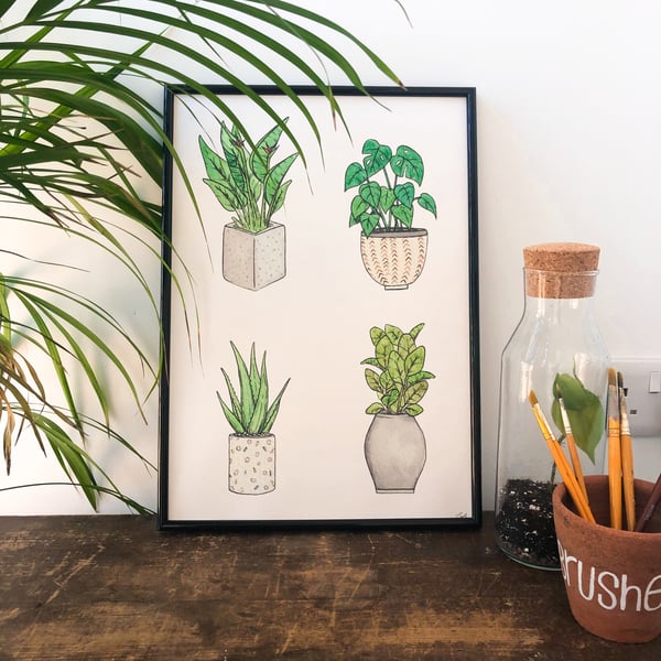 House Plants Print A3