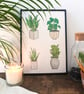 House Plants Print A3 - Image 2