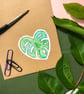 Monstera Leaf Sticker - Eco Friendly Tropical Plant Stickers - Image 3