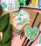 Plant Lover Sticker Set Multipack: Monstera, Plant Obsessed, Greenhouse Stickers - Image 1