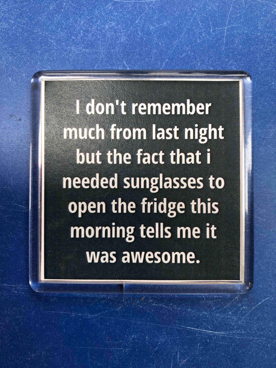 Party Animal Hangover Funny Decorative Magnet