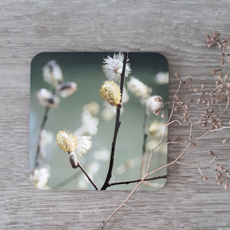 Coaster set - 4 mdf coasters - tableware - gift box - green willow catkin print.