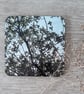 Tree silhouette print mdf coasters, boxed set of 4.