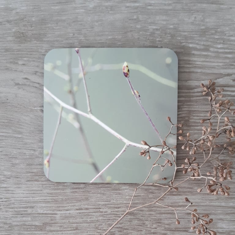 Coaster - 1 mdf coaster - tableware - sage green branch print.