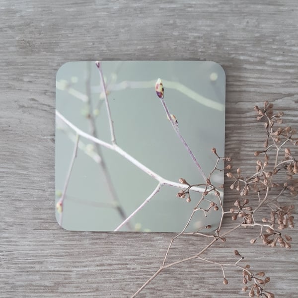 Coaster set - 4 mdf coasters - tableware -  gift box - sage green branch print.