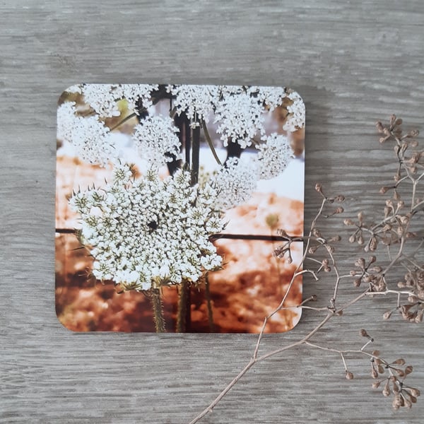 Cow parsley print mdf coasters, boxed set of 4.