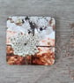 Cow parsley print mdf coasters, boxed set of 4.