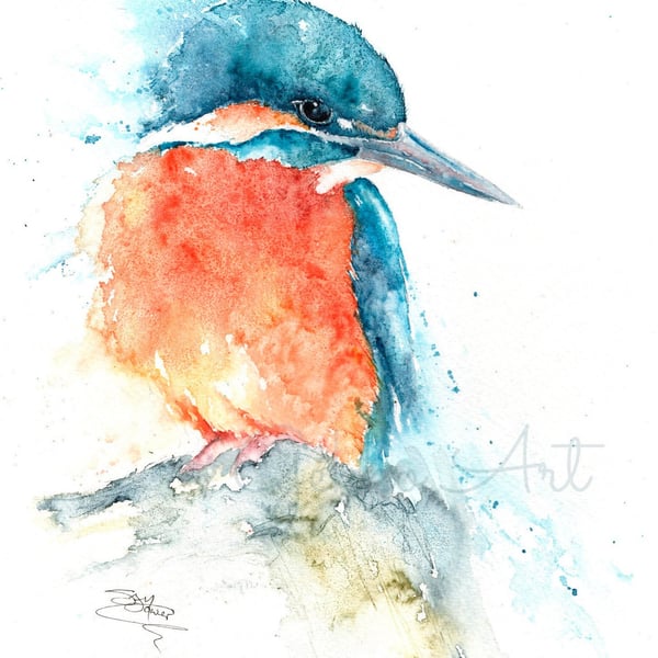 Kingfisher 'Watching'. A Fine Art Print from an Original Watercolour Painting