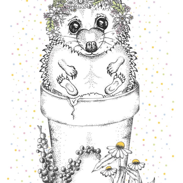 Illustration print - ‘Harry the Hedgehog' (A4 - foam board backing)