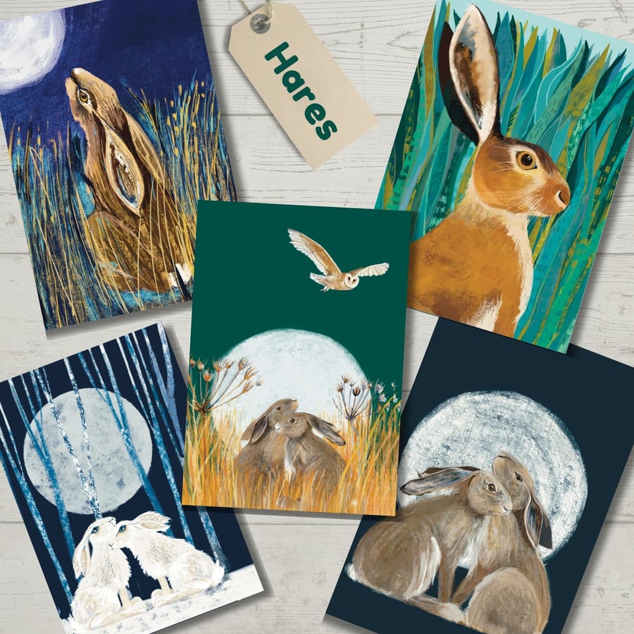 Blank card pack all occasions hares