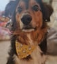 Elasticated slip-on Dog Bandana - Size S-M - Image 7