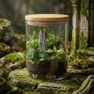 DIY Terrarium Kit – Handmade Glass Terrarium with Live Plants & Moss, Plant Gift