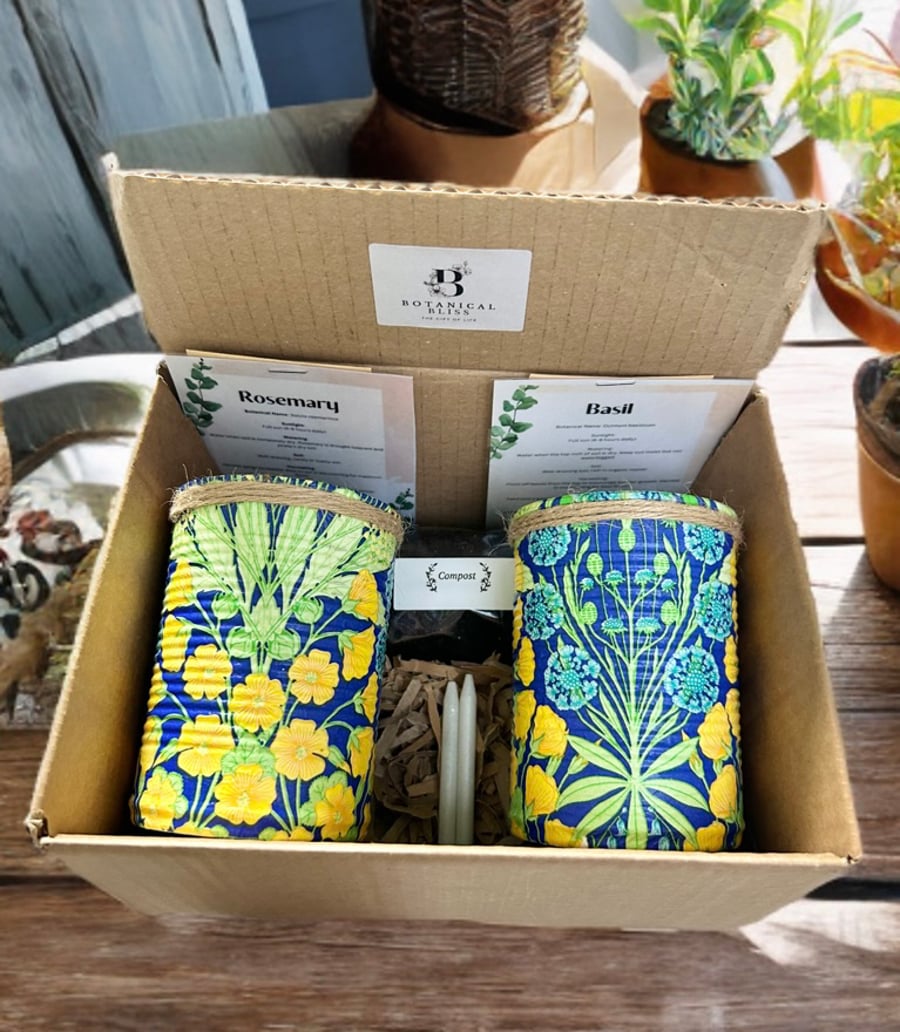 Yellow Blue Botanical Handmade Eco-friendly Indoor Kitchen Herb Gift Set