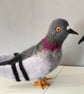 A wool felted gentle pigeon - Image 2