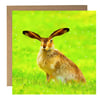 Hare in Snow Birthday, Greeting Card