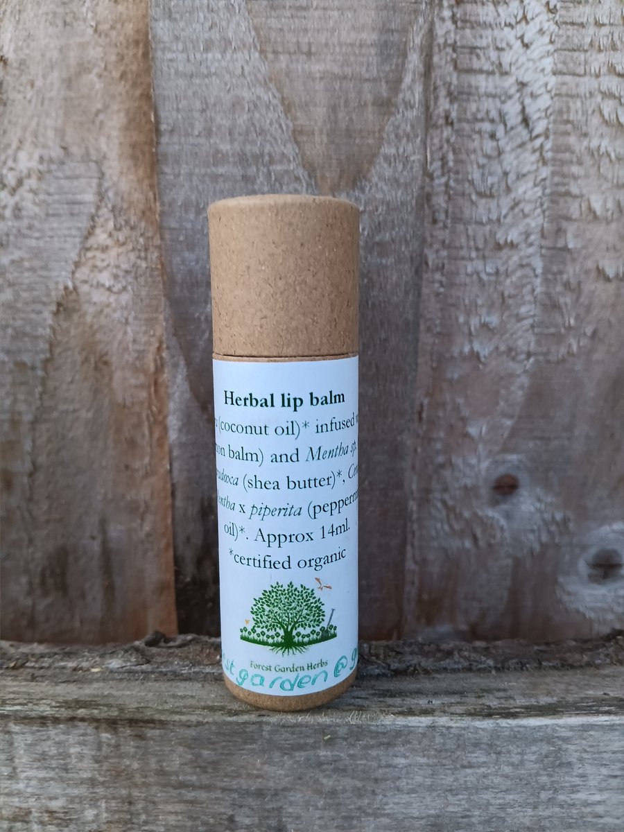 Lemon balm lip balm