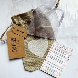 Wildflower Seed Bomb Gift Bag