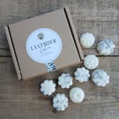 Lavender Calm Botanical Soy Wax Melts - Gift Box