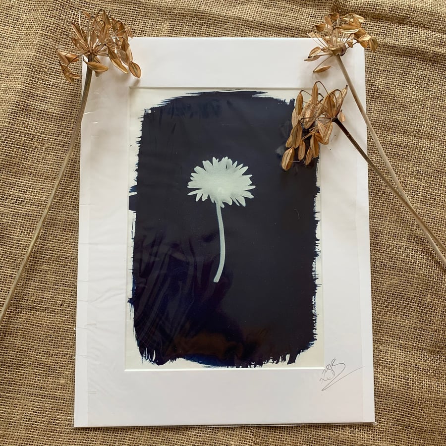 Single Flower Cyanotype Mount