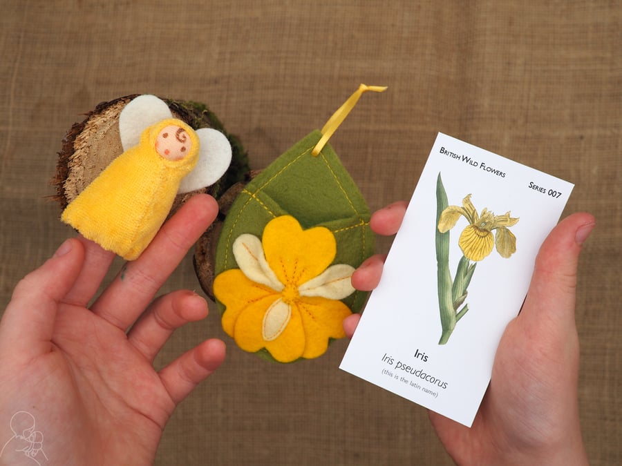 Iris flower fairy doll 