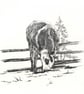 Custom A6 Pet Portrait DRAWING - Image 3