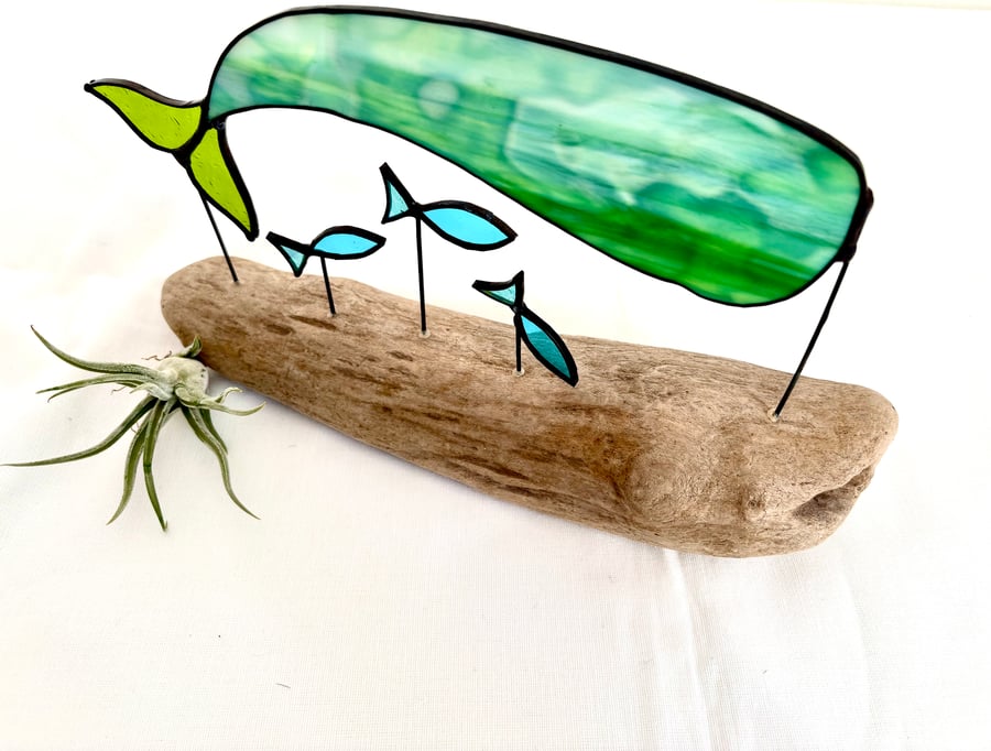 Giant Whale with shoal of fish on driftwood