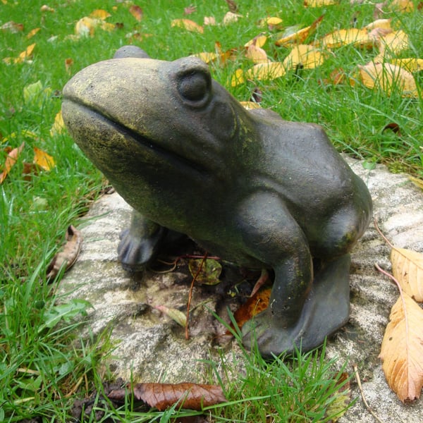 Frog Toad Ornament