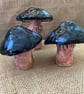 handmade ceramic mushroom - fungi plant ornament for plant pot