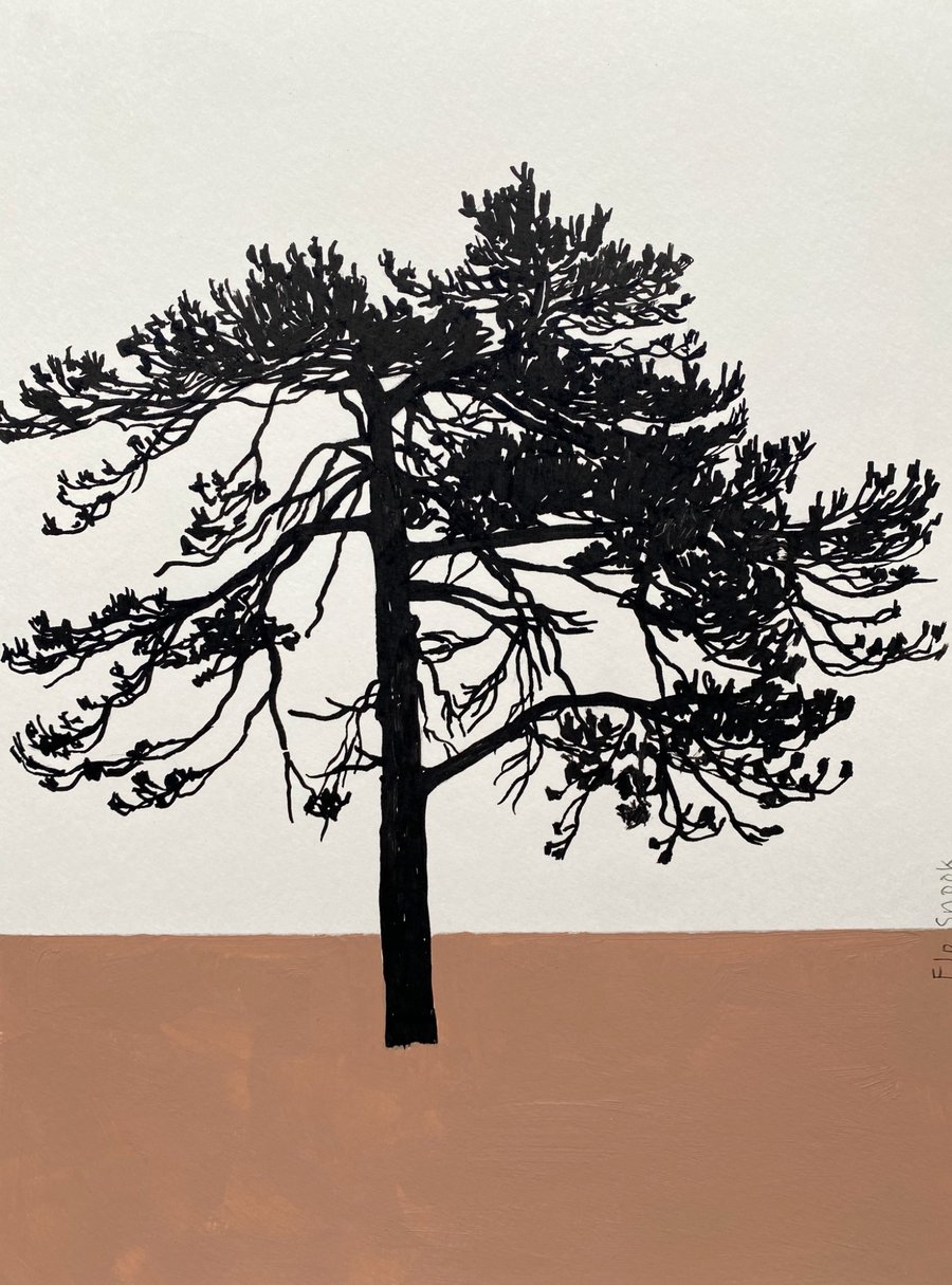Ashdown Pine no.60, original A4 artwork, hand drawn, painted, autumn ...